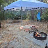 Review photo of Carolina Beach State Park Campground by Steven C., November 24, 2024