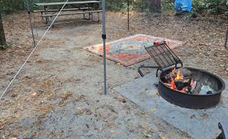 Steven C.'s photo at Carolina Beach State Park Campground near Carolina Beach, NC
