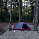 Review photo of Carolina Beach State Park Campground by Jeff B., April 20, 2026