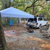 Review photo of Carolina Beach State Park Campground by Steven C., November 24, 2024