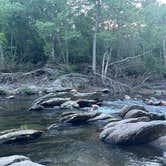 Review photo of Carolina Hemlocks Rec Area by Veronica S., June 19, 2025