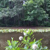 Review photo of Dan Nicholas Park by Sarah B., July 5, 2025