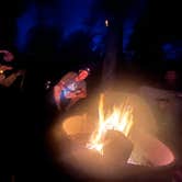 Review photo of Davidson River Campground by Robbie B., May 4, 2025