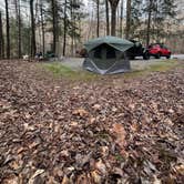 Review photo of Davidson River Campground by Justin S., February 20, 2024