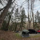 Review photo of Davidson River Campground by Justin S., February 20, 2024