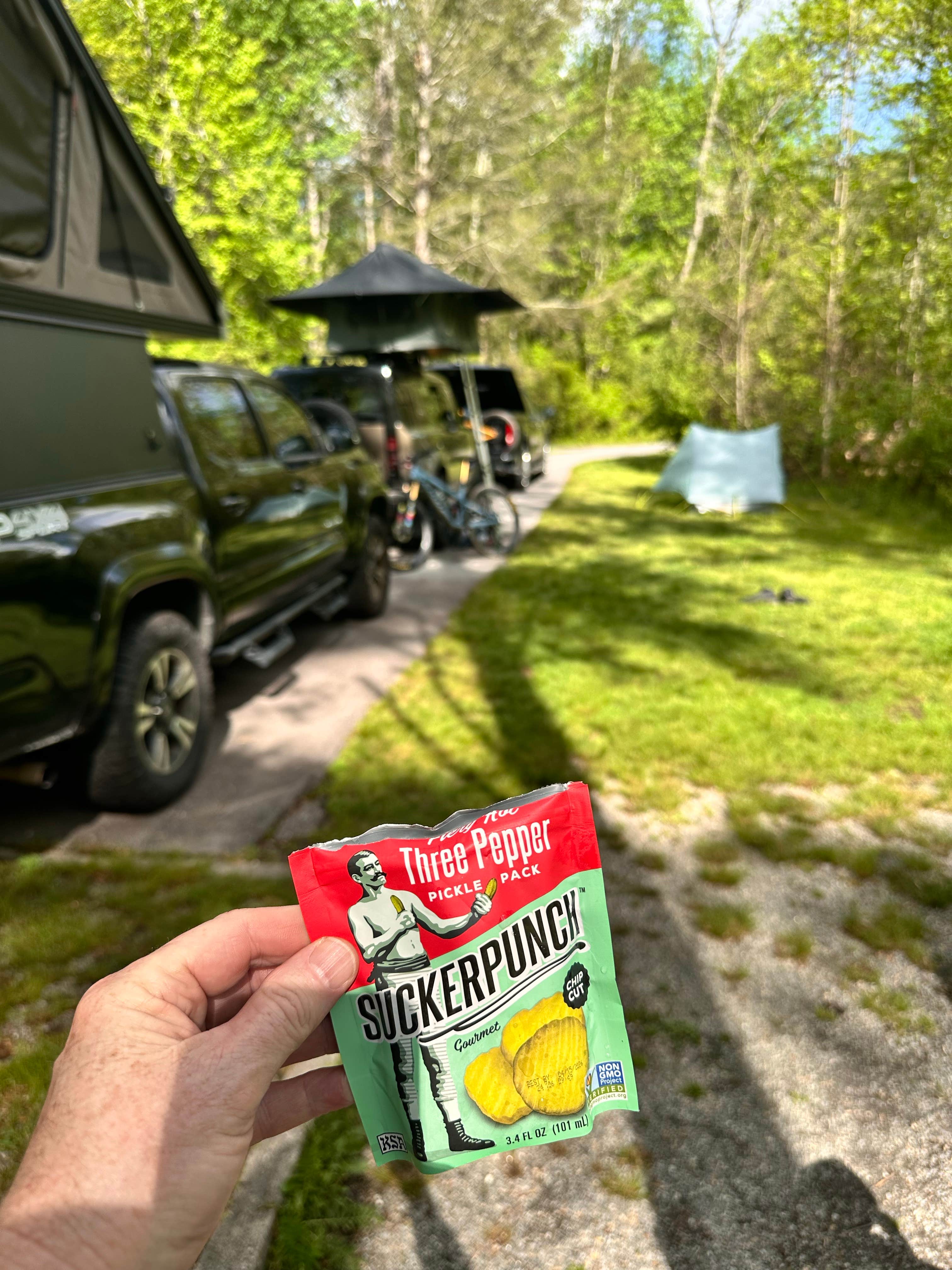 Robbie B.'s photo at Davidson River Campground near Etowah, NC