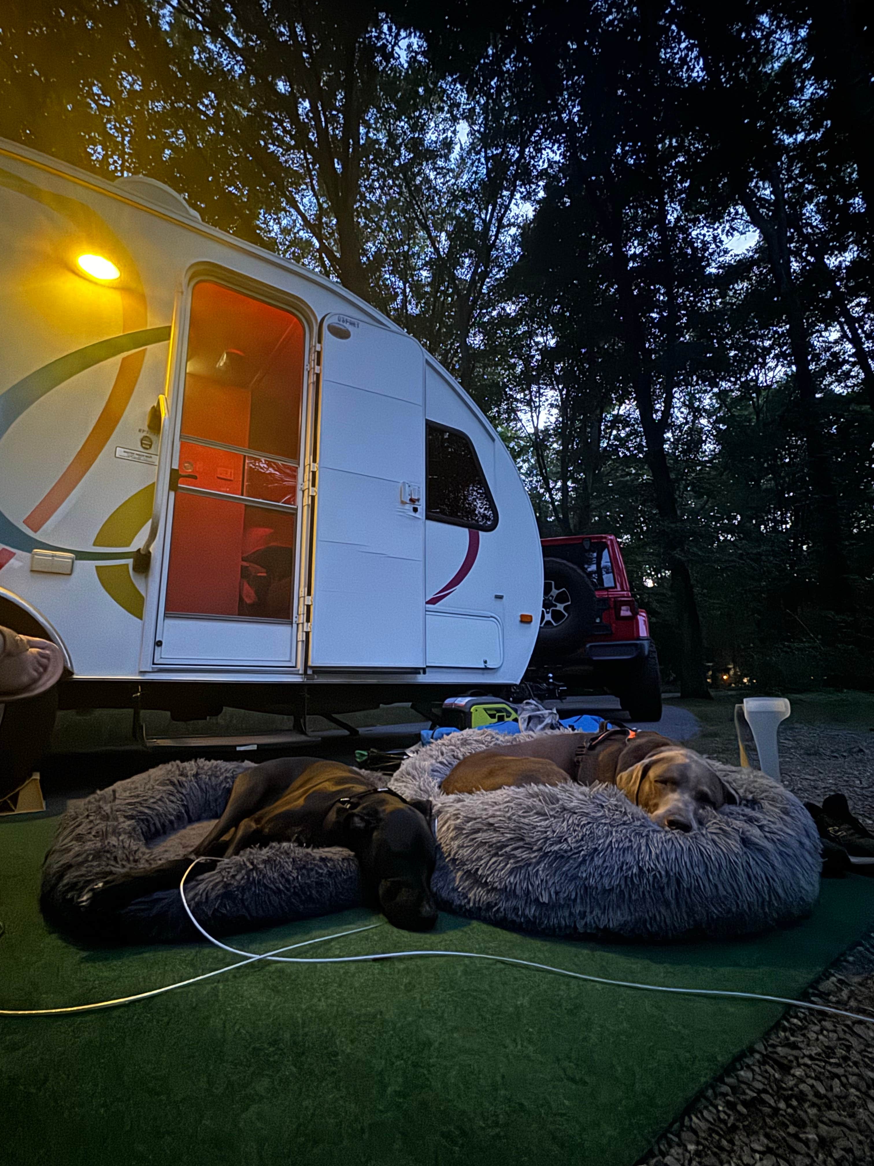 Maria E.'s photo at Davidson River Campground near Penrose, NC