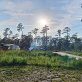 Review photo of Goose Creek State Park Campground by Wayne T., November 19, 2024