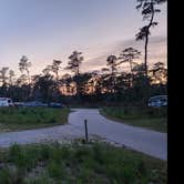 Review photo of Goose Creek State Park Campground by Wayne T., November 19, 2024