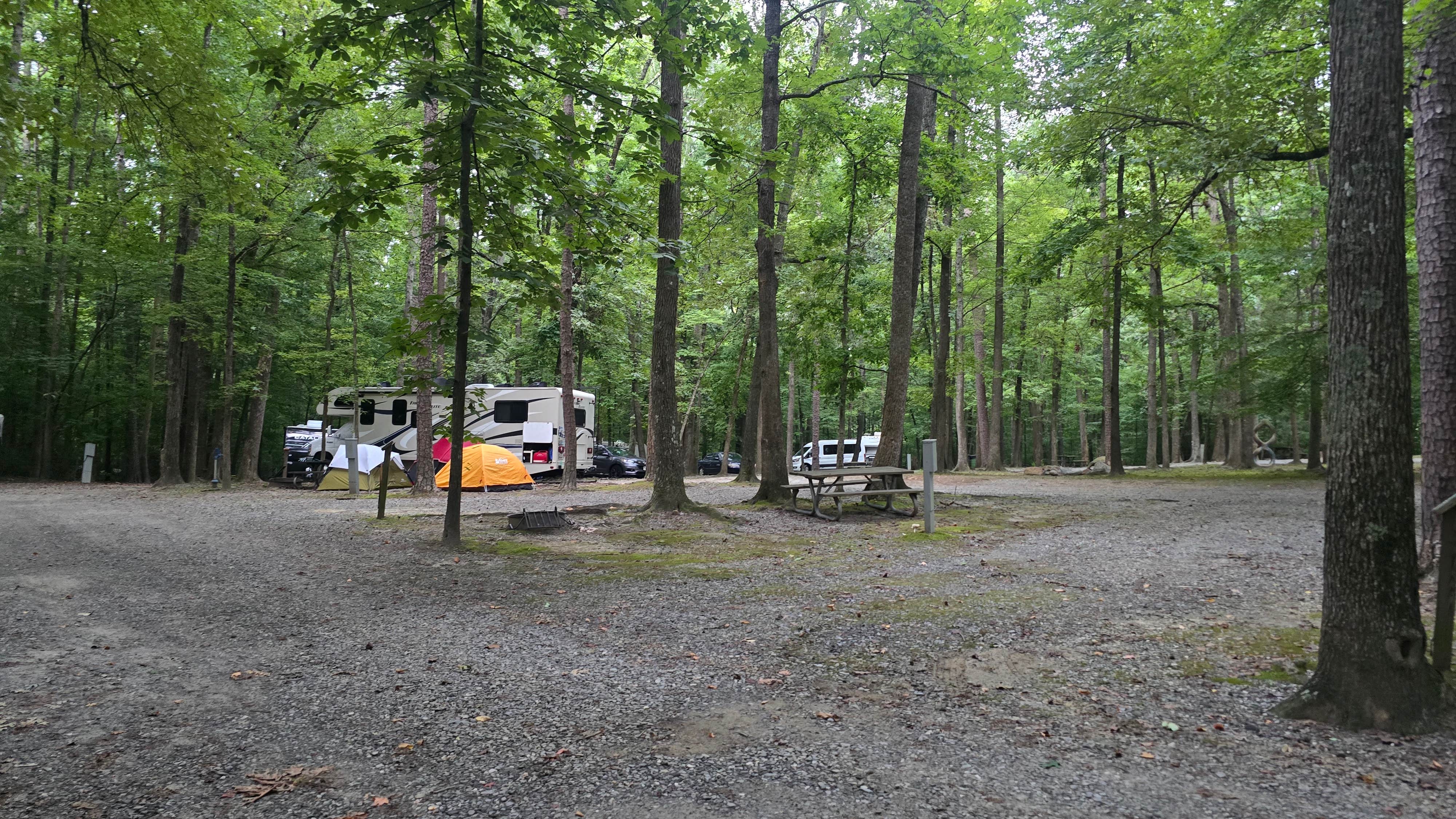 Greg B.'s photo at Hagan-Stone Park near Saxapahaw, NC