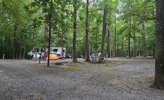 Greg B.'s photo at Hagan-Stone Park near Mebane, NC