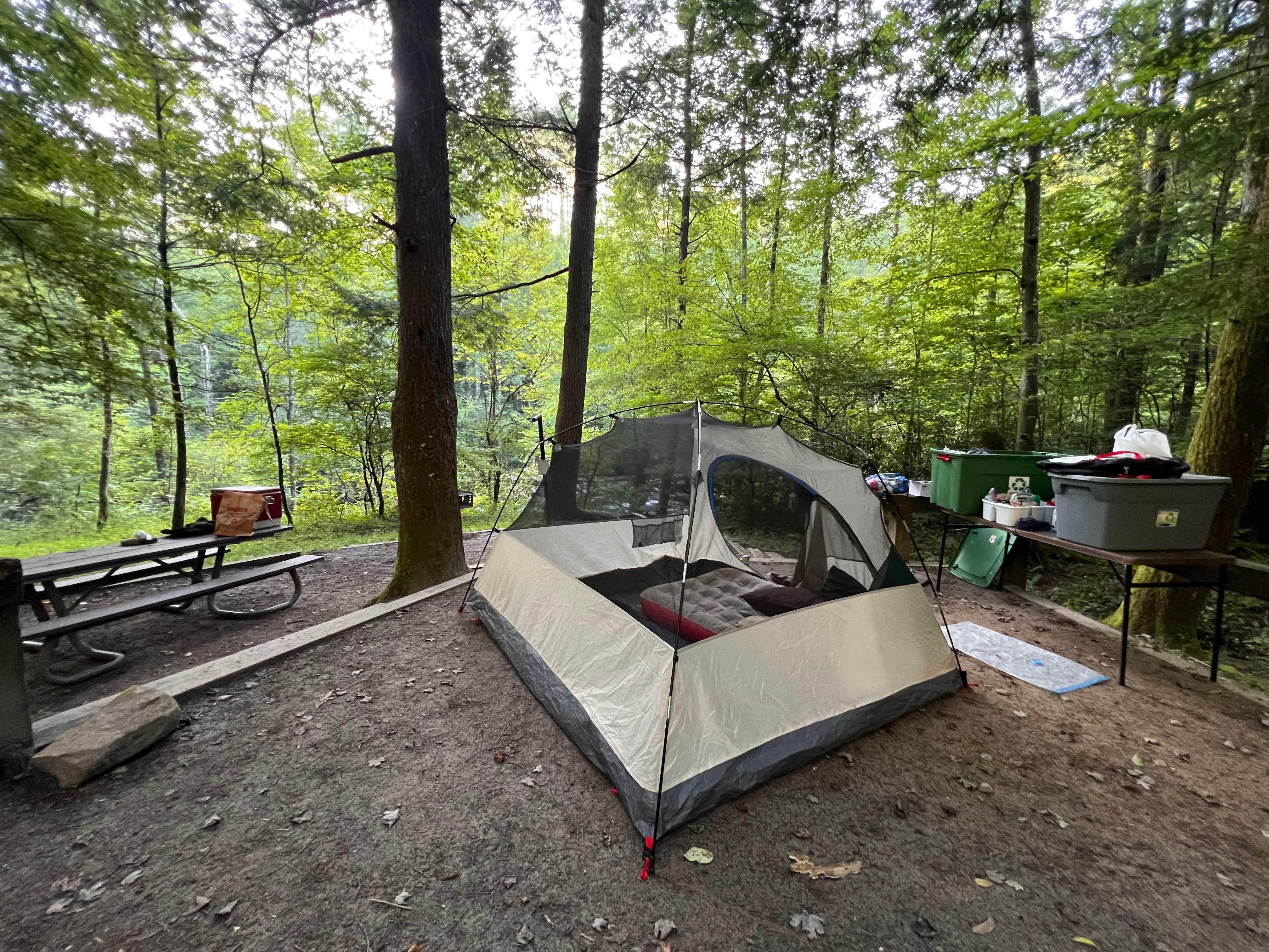 Emerald M.'s photo at Horse Cove near Robbinsville, NC