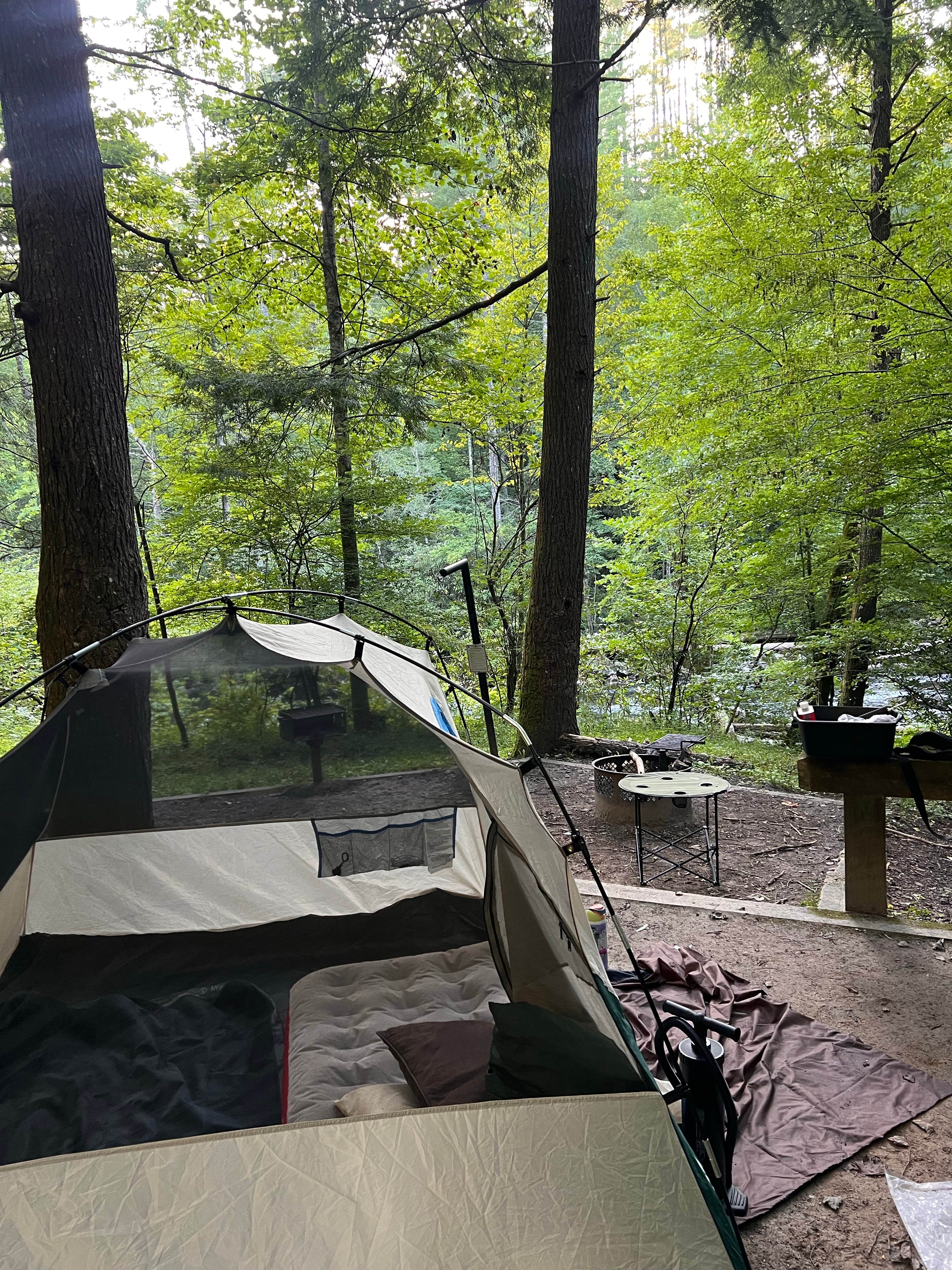 Emerald M.'s photo at Horse Cove near Robbinsville, NC