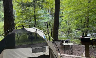 Emerald M.'s photo at Horse Cove near Croatan National Forest