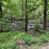 Review photo of Horse Cove by Bobby H., May 29, 2026