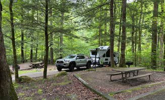 Kasia B.'s photo at Horse Cove near Croatan National Forest