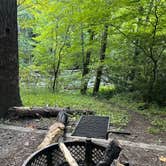 Review photo of Horse Cove by Emerald M., July 17, 2025