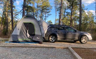 Loryn B.'s photo at Jones Lake State Park Campground near Ivanhoe, NC