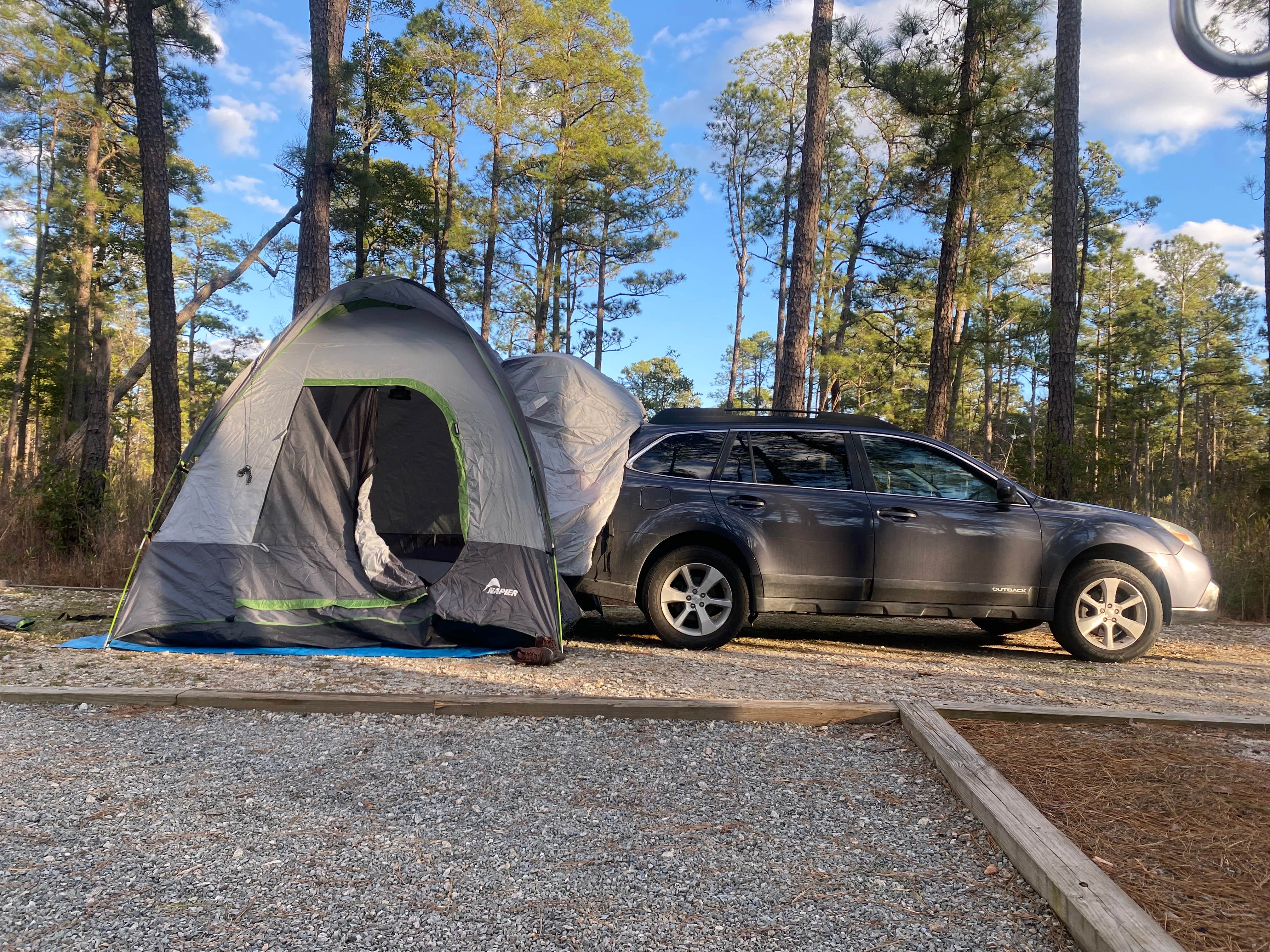 Camper-submitted photo at Jones Lake State Park Campground near Harrells, NC