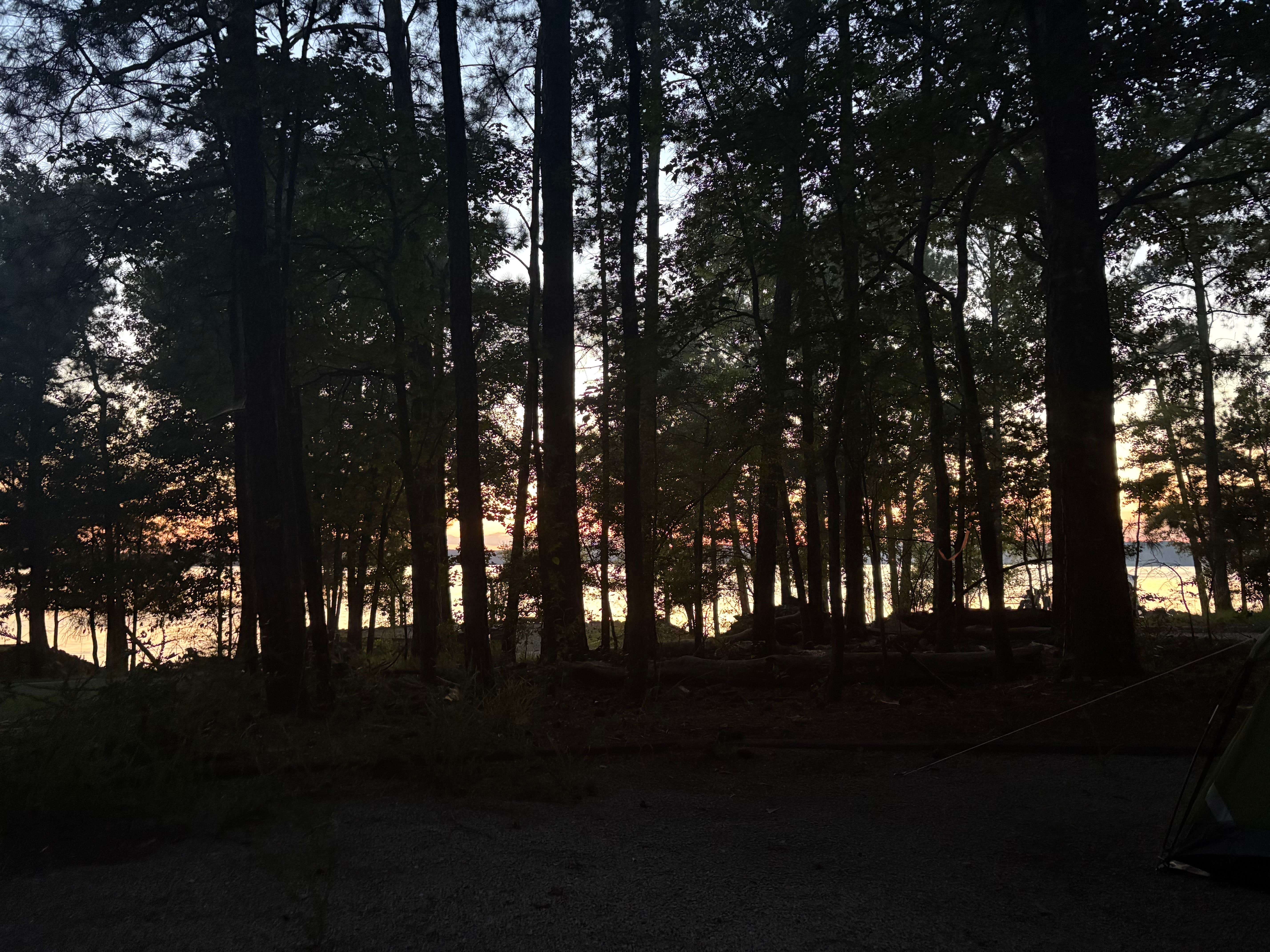 Bailey R.'s photo at Poplar Point Campground — Jordan Lake State Recreation Area near Garner, NC