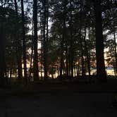 Review photo of Poplar Point Campground — Jordan Lake State Recreation Area by Bailey R., August 30, 2025