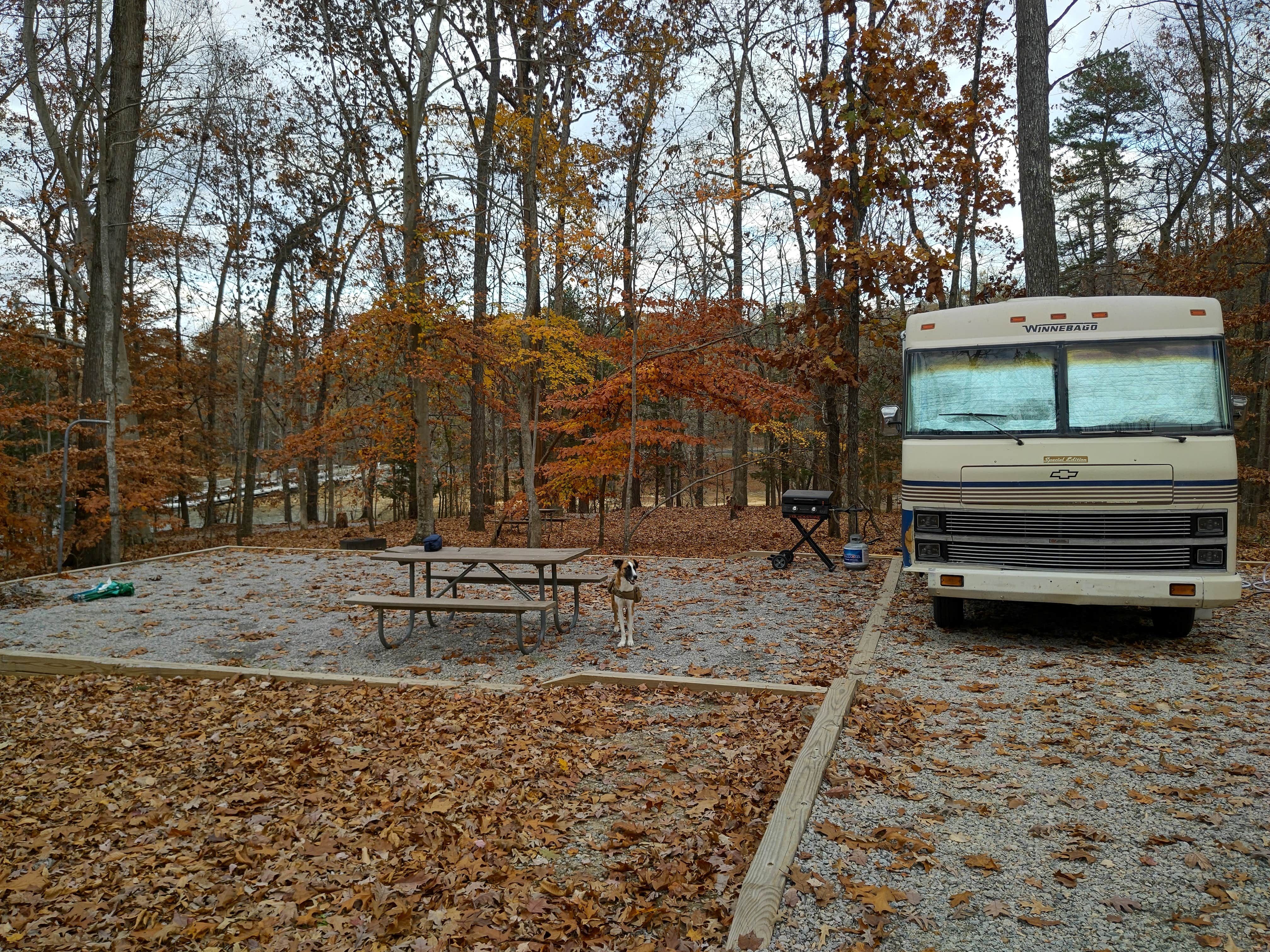 adam B.'s photo of camping with pets at Hibernia Campground — Kerr Lake State Recreation Area near Hollister, NC