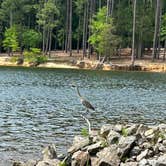 Review photo of Kimball Point — Kerr Lake State Recreation Area by Lisa D., May 15, 2024