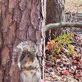 Review photo of Lake Reidsville Recreation Park by Matthew S., November 26, 2023