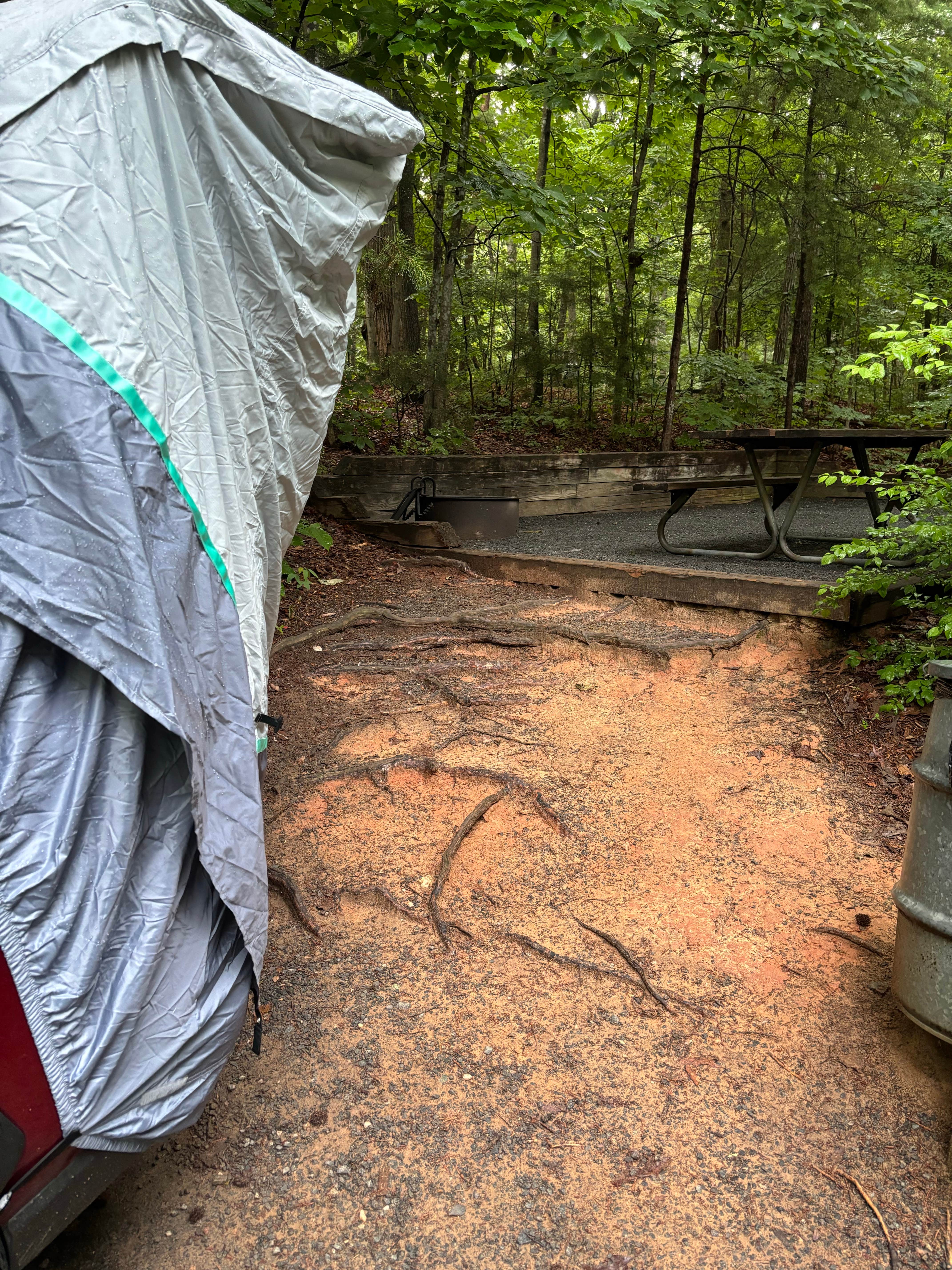 Olivia W.'s photo at McDowell Nature Preserve near Pineville, NC