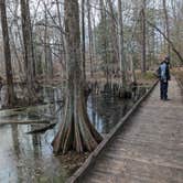 Review photo of Merchants Millpond State Park Campground by Charli R., February 21, 2024