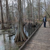 Review photo of Merchants Millpond State Park by Charli R., February 21, 2024