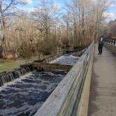 Review photo of Merchants Millpond State Park Campground by Charli R., February 21, 2024