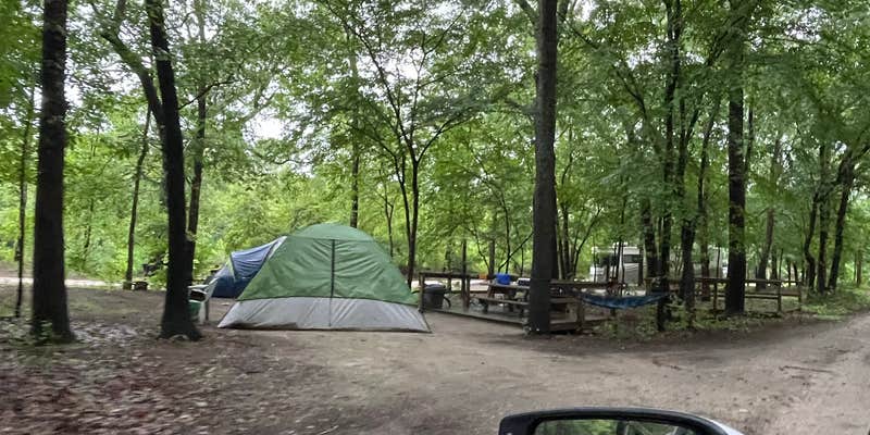 Camper submitted image from Neuseway Nature Park & Campground