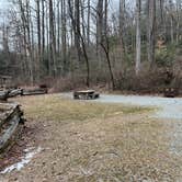 Review photo of North Mills River by Julie T., January 24, 2025