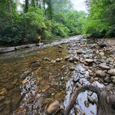 Review photo of North Mills River by not weird but different , June 20, 2024