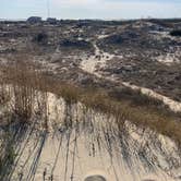 Review photo of Oregon Inlet Campground — Cape Hatteras National Seashore by David N., April 7, 2025