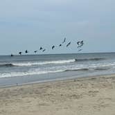 Review photo of Oregon Inlet Campground — Cape Hatteras National Seashore by Jamie K., July 30, 2024