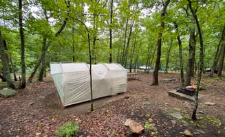 Karla W.'s photo at Pilot Mountain State Park Campground in North Carolina