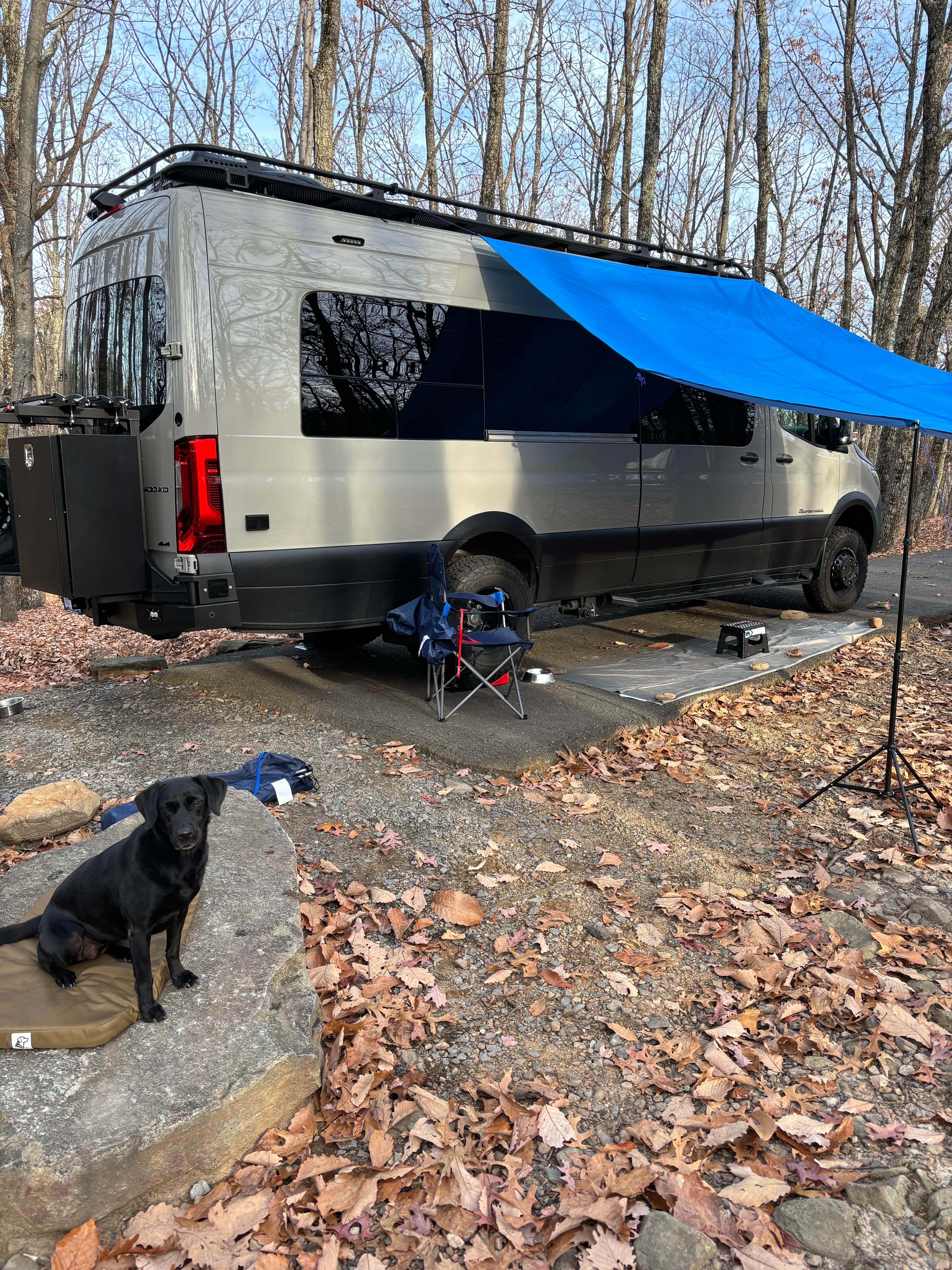 David D.'s photo of camping with pets at Pilot Mountain State Park Campground near Germanton, NC