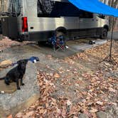 Review photo of Pilot Mountain State Park Campground — Pilot Mountain State Park by David D., November 27, 2023