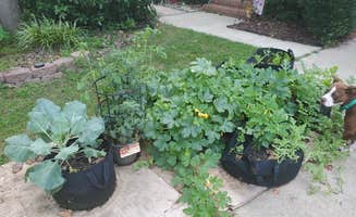 Barbara P.'s photo of camping with pets at North Carolina State Fairgrounds near Garner, NC