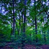 Review photo of West Morris Mtn. by Elijah R., May 27, 2025