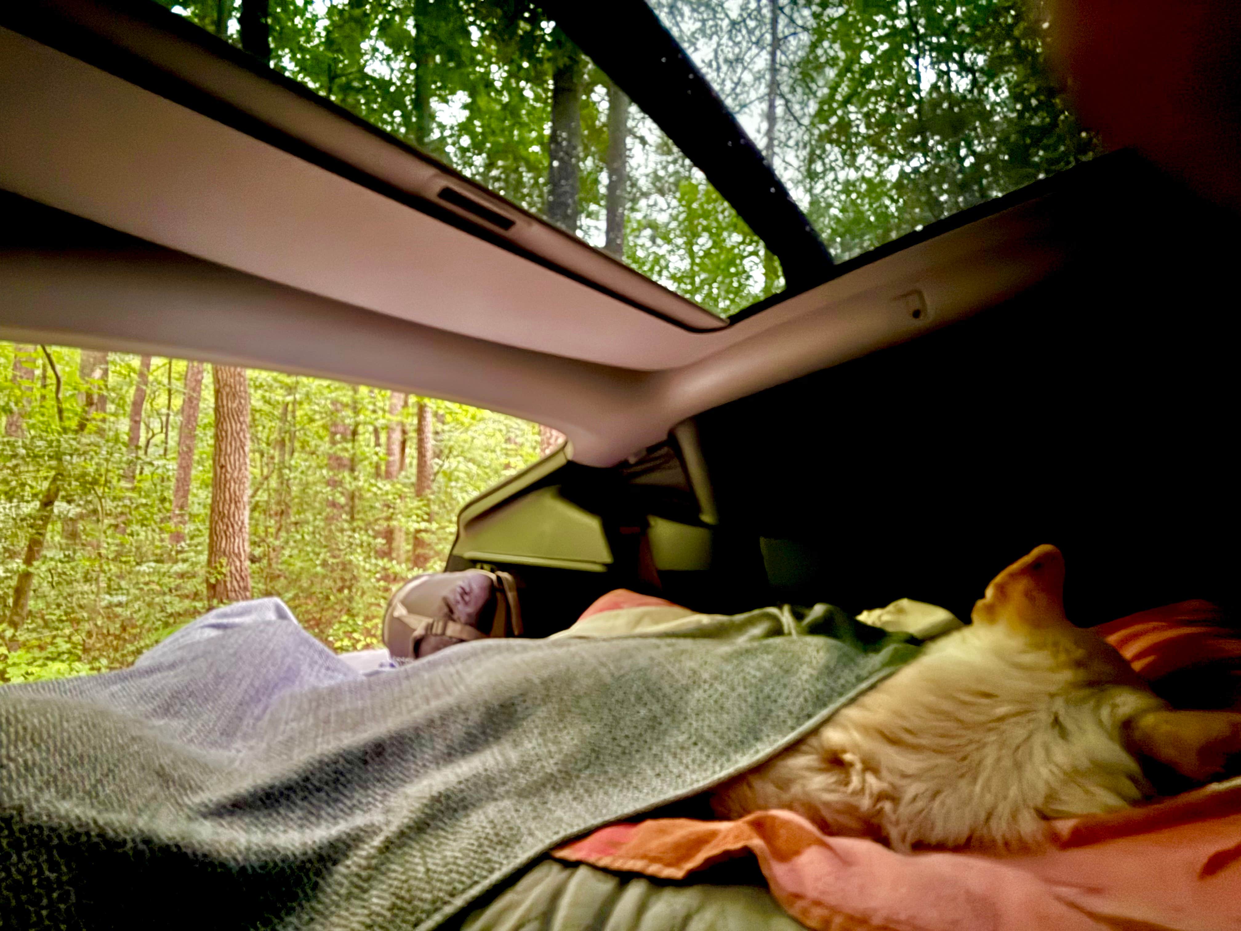 Camper-submitted photo at West Morris Mtn. near Robbins, NC