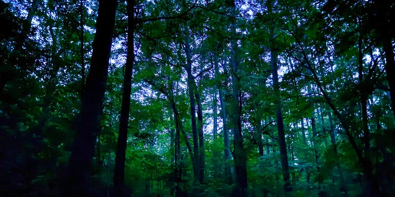 Camper submitted image from West Morris Mtn.