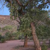 Review photo of North Creek Dispersed Camping by Tamra H., September 22, 2026