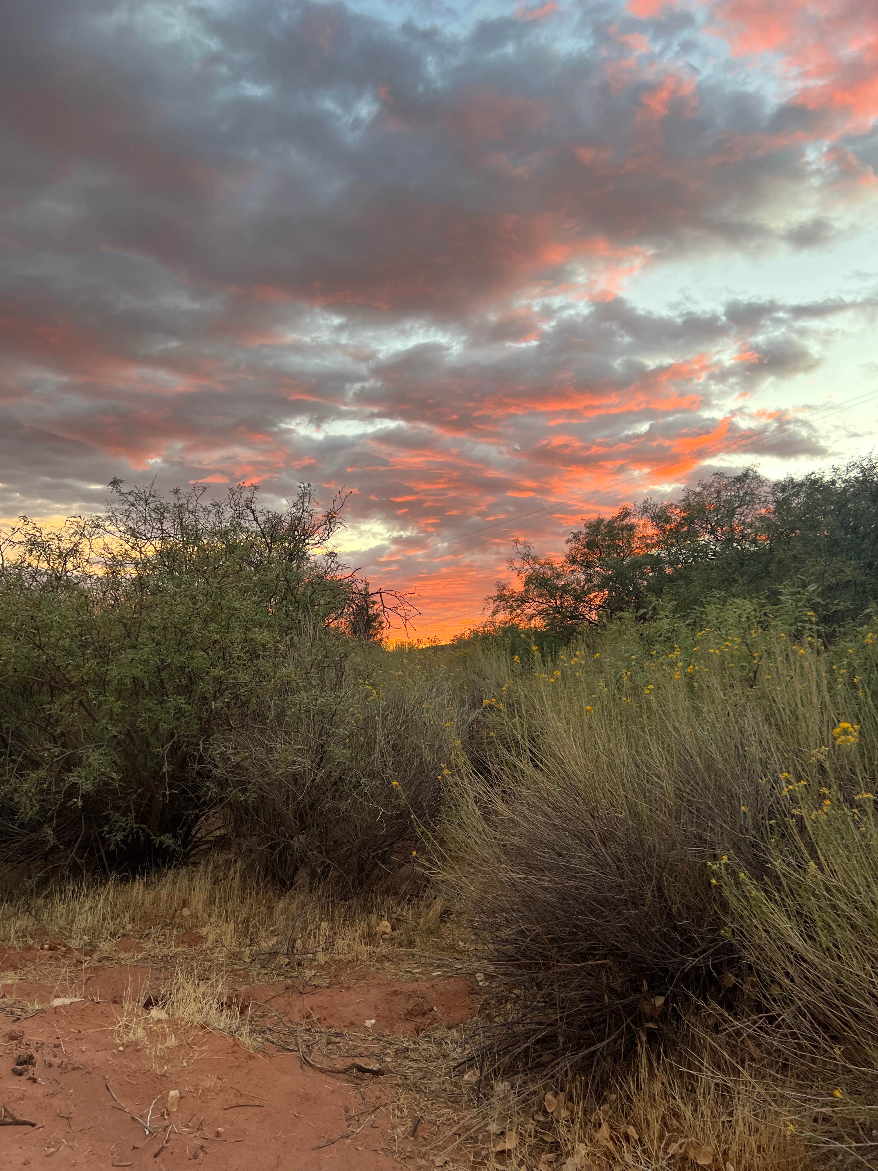 Chris P.'s photo of a dispersed camping area at North Creek Dispersed Camping near Rockville, UT