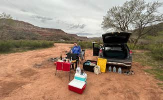 Thomas W.'s photo at North Creek Dispersed Camping near Zion National Park