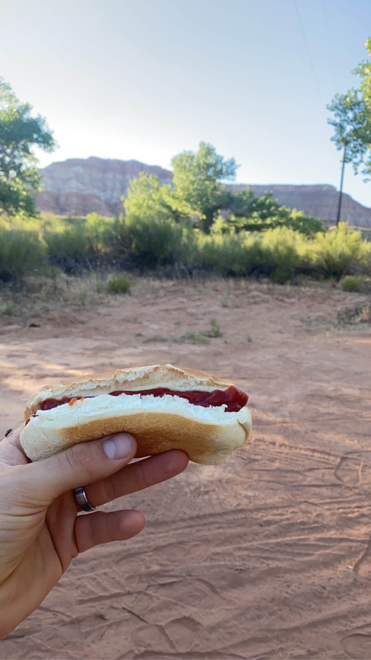 Nathan W.'s photo of camping with pets at North Creek Dispersed Camping near Zion National Park