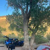 Review photo of North Creek Dispersed Camping by niiels , May 9, 2026