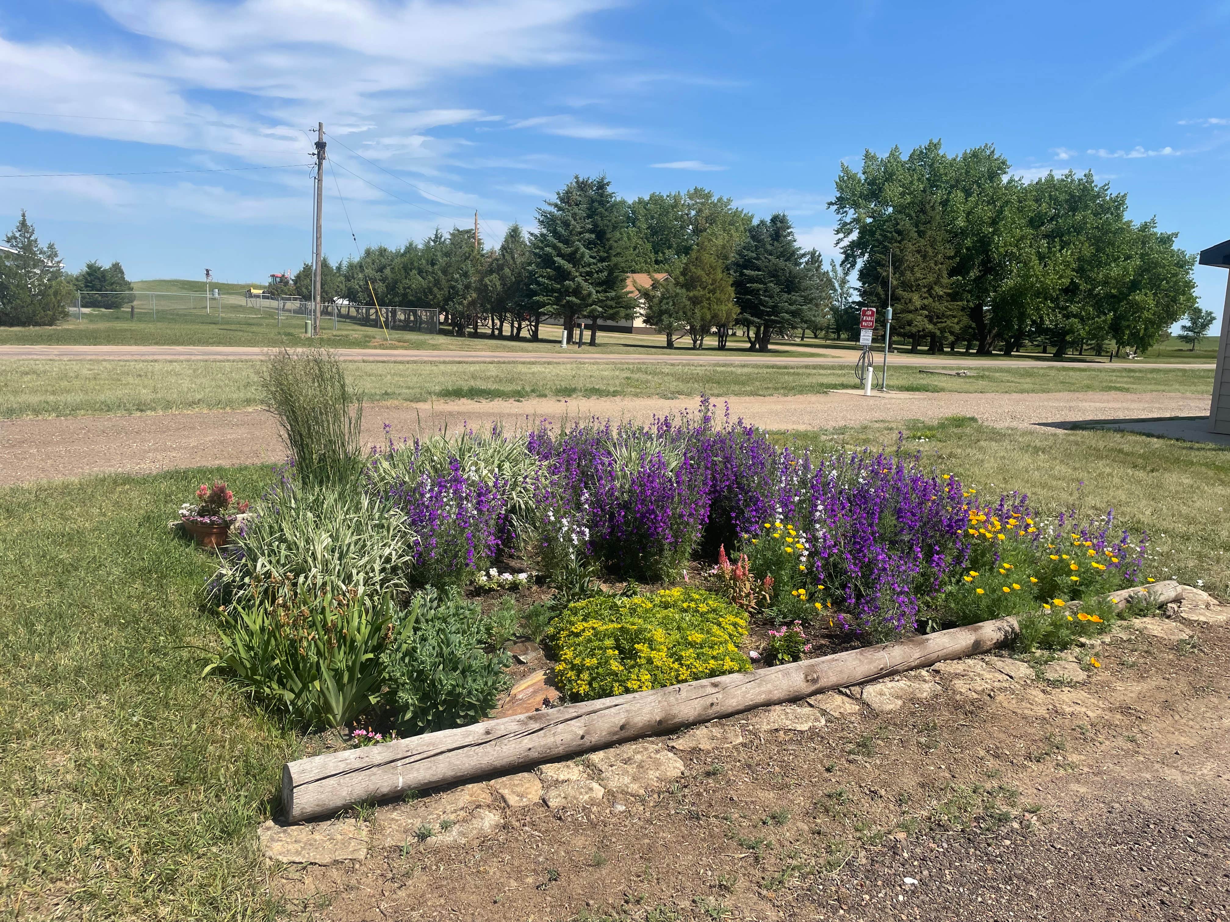 Camper submitted image from Bowman Lions Park - 2